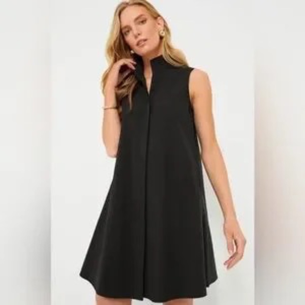 Tuckernuck Charlie Sleeveless Mini Dress S Black A-Line Pockets Button Front